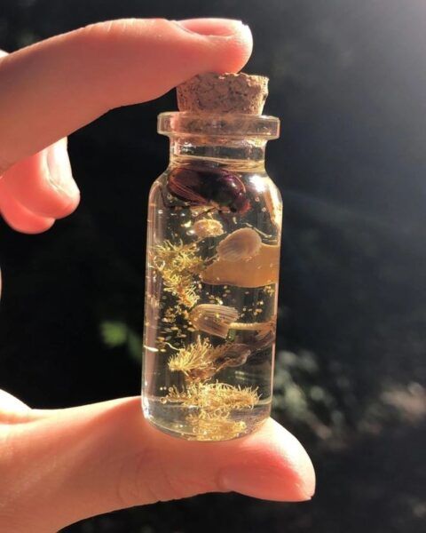 Probówki in vitro